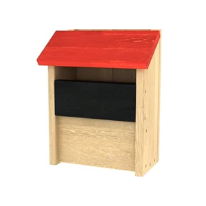 Wooden Letter Box