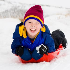 Red Snow Sleigh